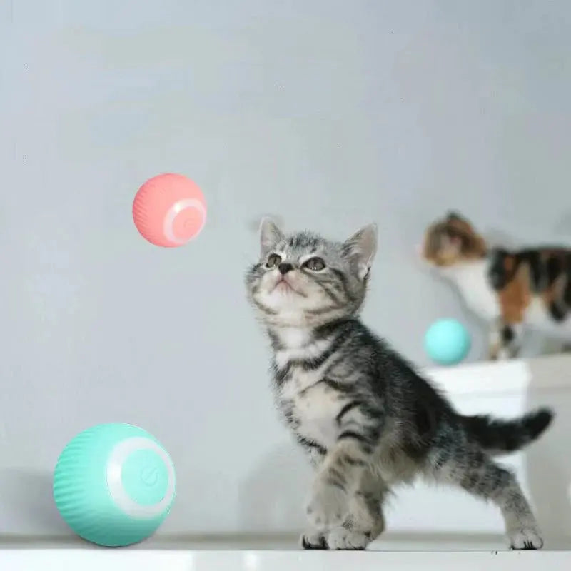 PowsPlay™ | 360° Rotating Interactive Cat Toy - TARHUS
