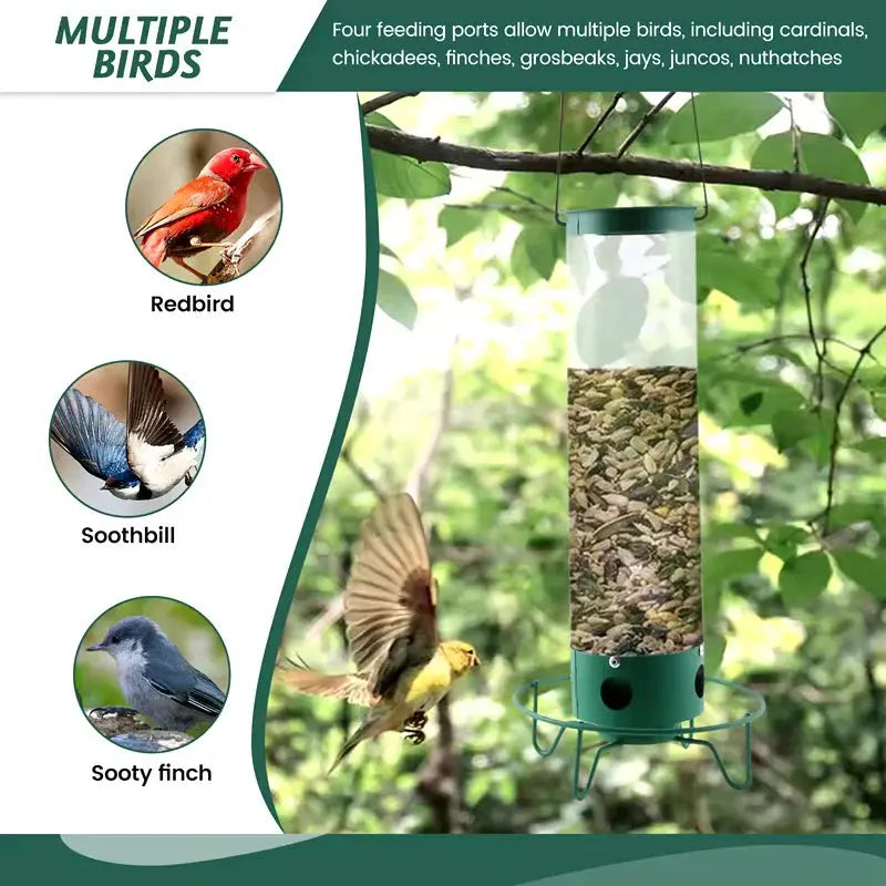 Squirrel-Proof Bird Feeder – Weather-Resistant Hanging Feeder - TARHUS