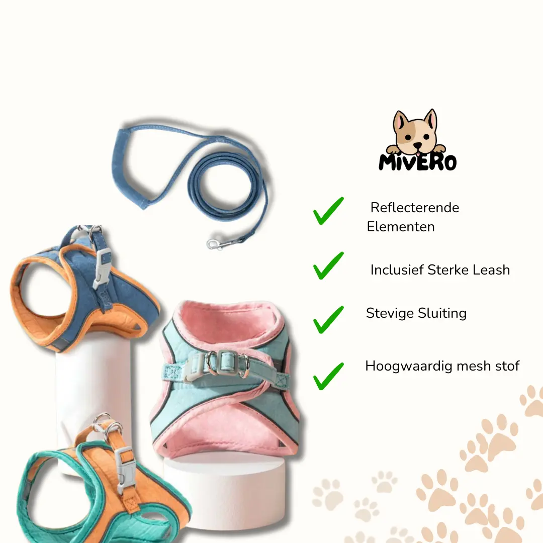 Catventure | Adjustable Safety Harness for Cats – Comfort & Security for Every Adventure TARHUS Kattentuigje – Verstelbaar en Ontsnappingsproof Kattenharnas met Reflecterende Strepen, Veiligheidstuigje en Inclusief Verstelbare Kattenriem