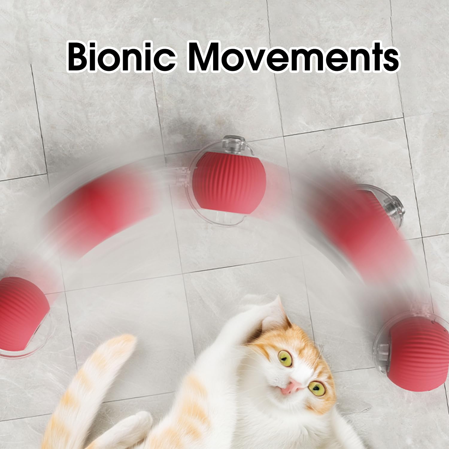 Rollraptor interactive pet toy ball - TARHUS