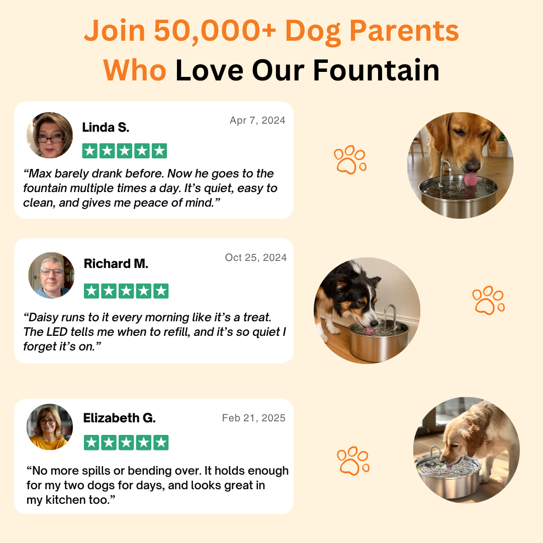 The Doggy Fountain™ – Stainless Steel Pet Water Fountain TARHUS Pets