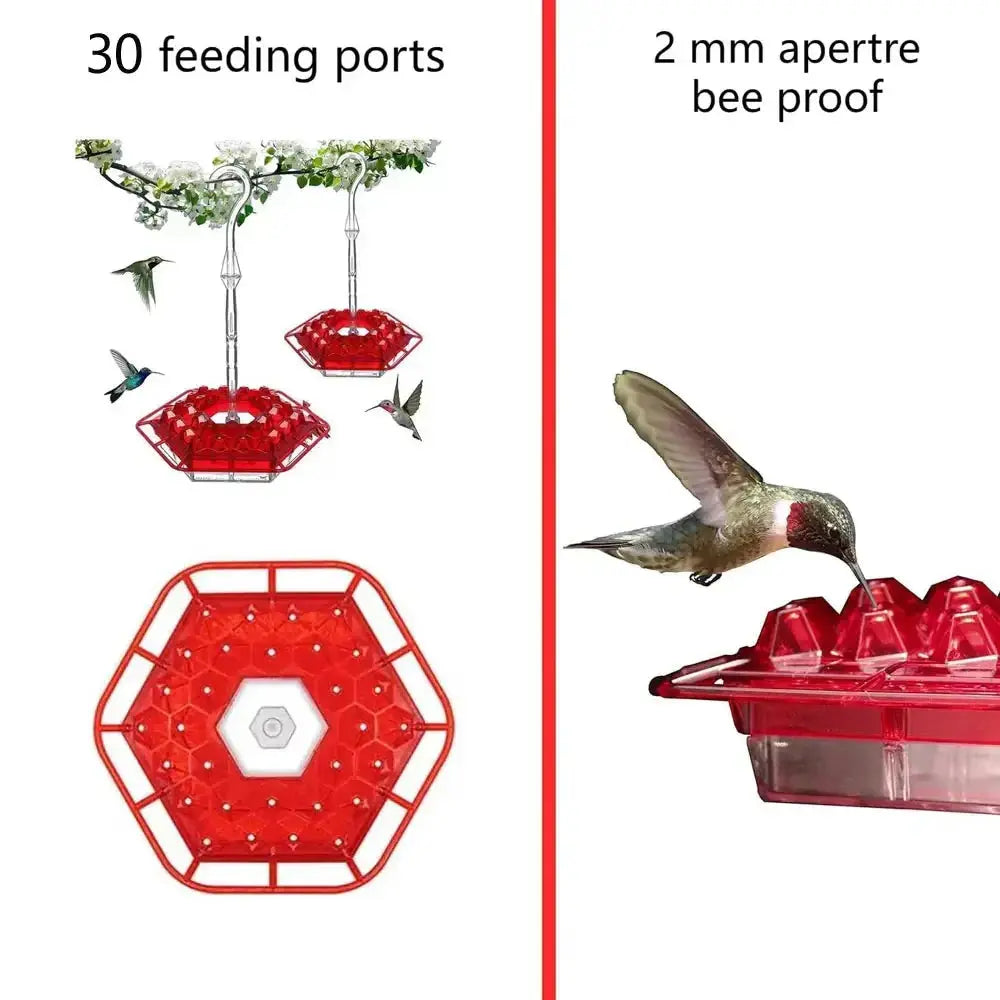 Ant-Proof Hummingbird Feeder – Outdoor Hanging Feeder with Perch | Leak-Free, Easy to Fill & Clean - TARHUS