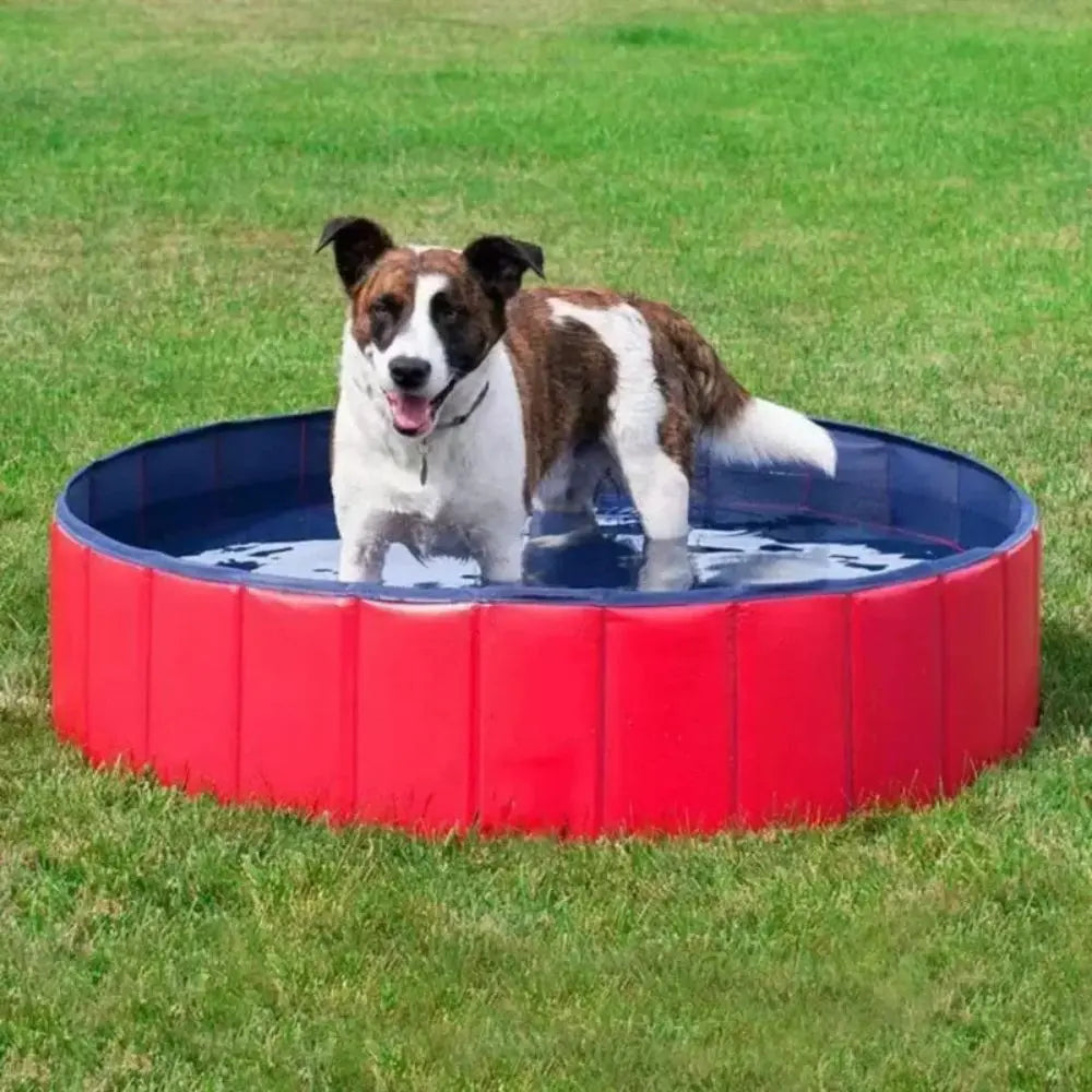 Large Foldable Dog Pool – Portable Pet Swimming Bath Tub for Dogs & Cats - TARHUS