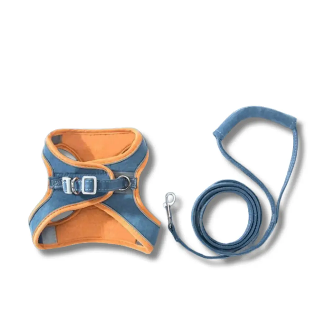 Catventure | Adjustable Safety Harness for Cats – Comfort & Security for Every Adventure TARHUS Kattentuigje – Verstelbaar en Ontsnappingsproof Kattenharnas met Reflecterende Strepen, Veiligheidstuigje en Inclusief Verstelbare Kattenriem