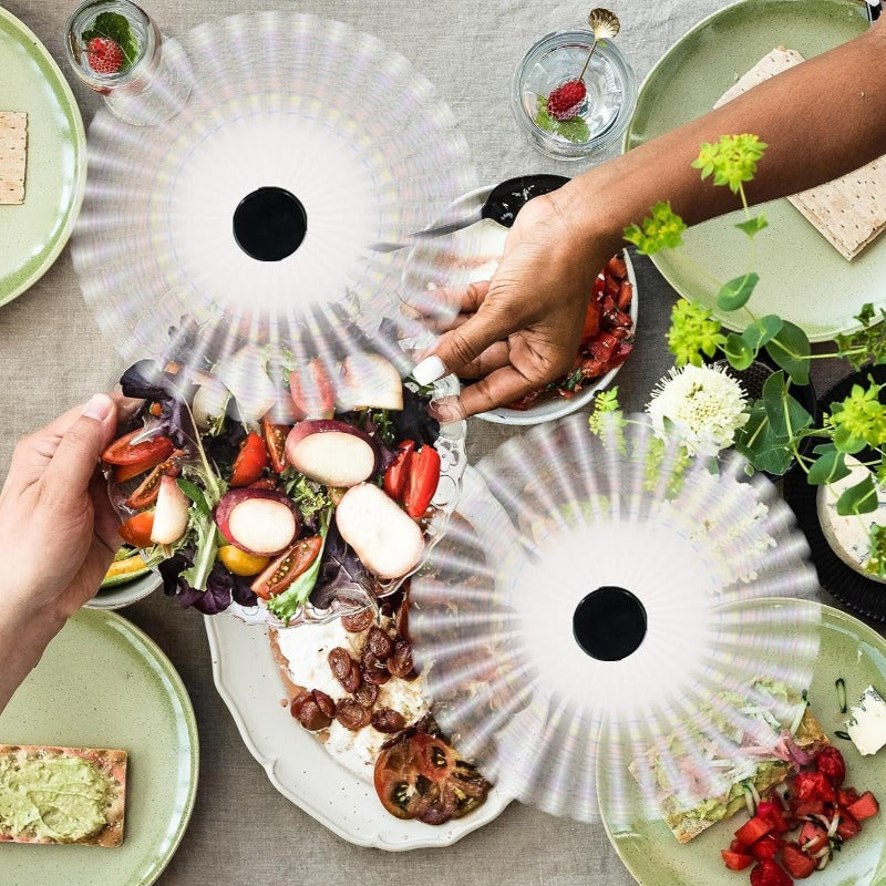 2-Pack Portable Fly Repellent Fans – Battery-Operated Tabletop Fans TARHUS Kitchen