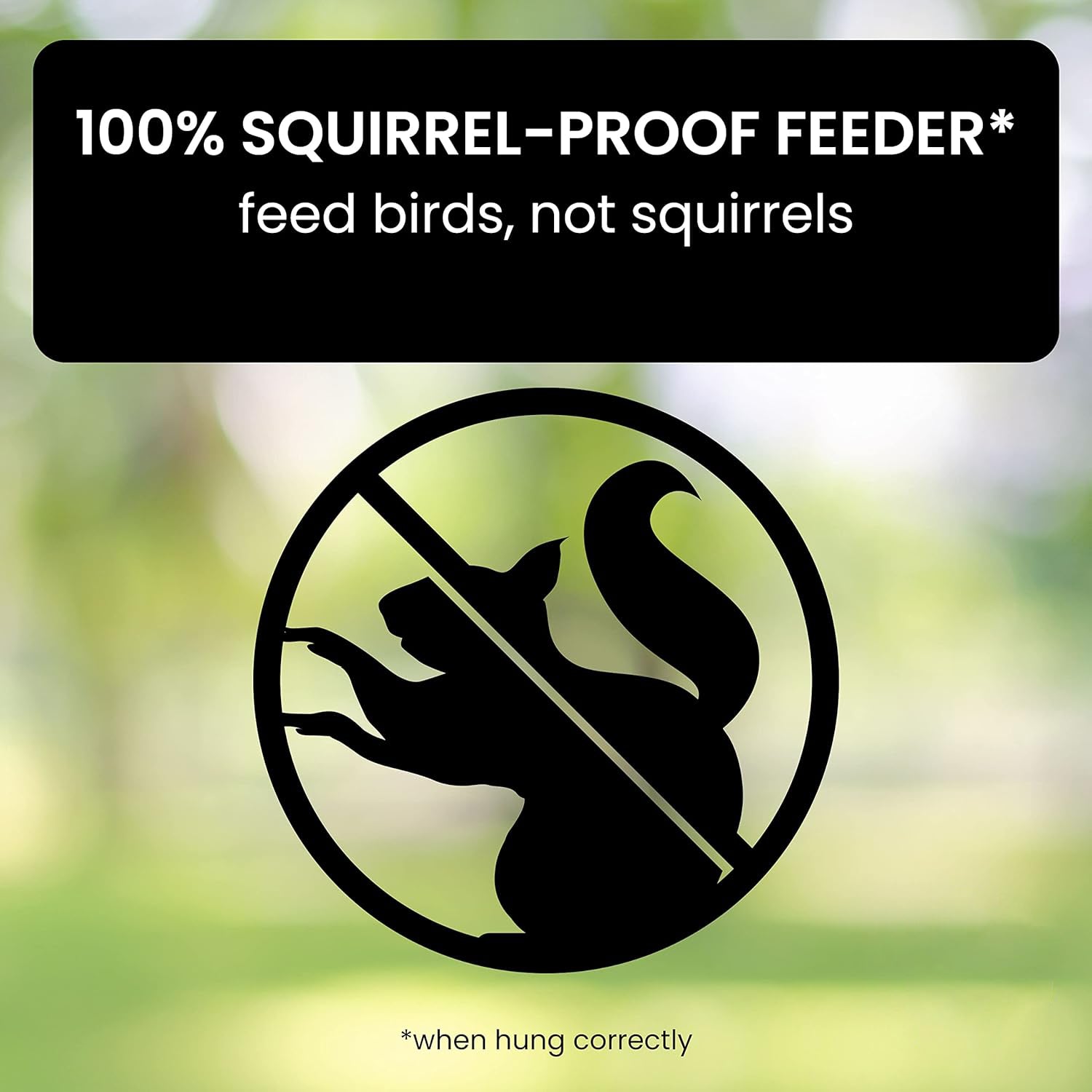 Squirrel-Proof Bird Feeder – Weather-Resistant Hanging Feeder for Wild Birds - TARHUS