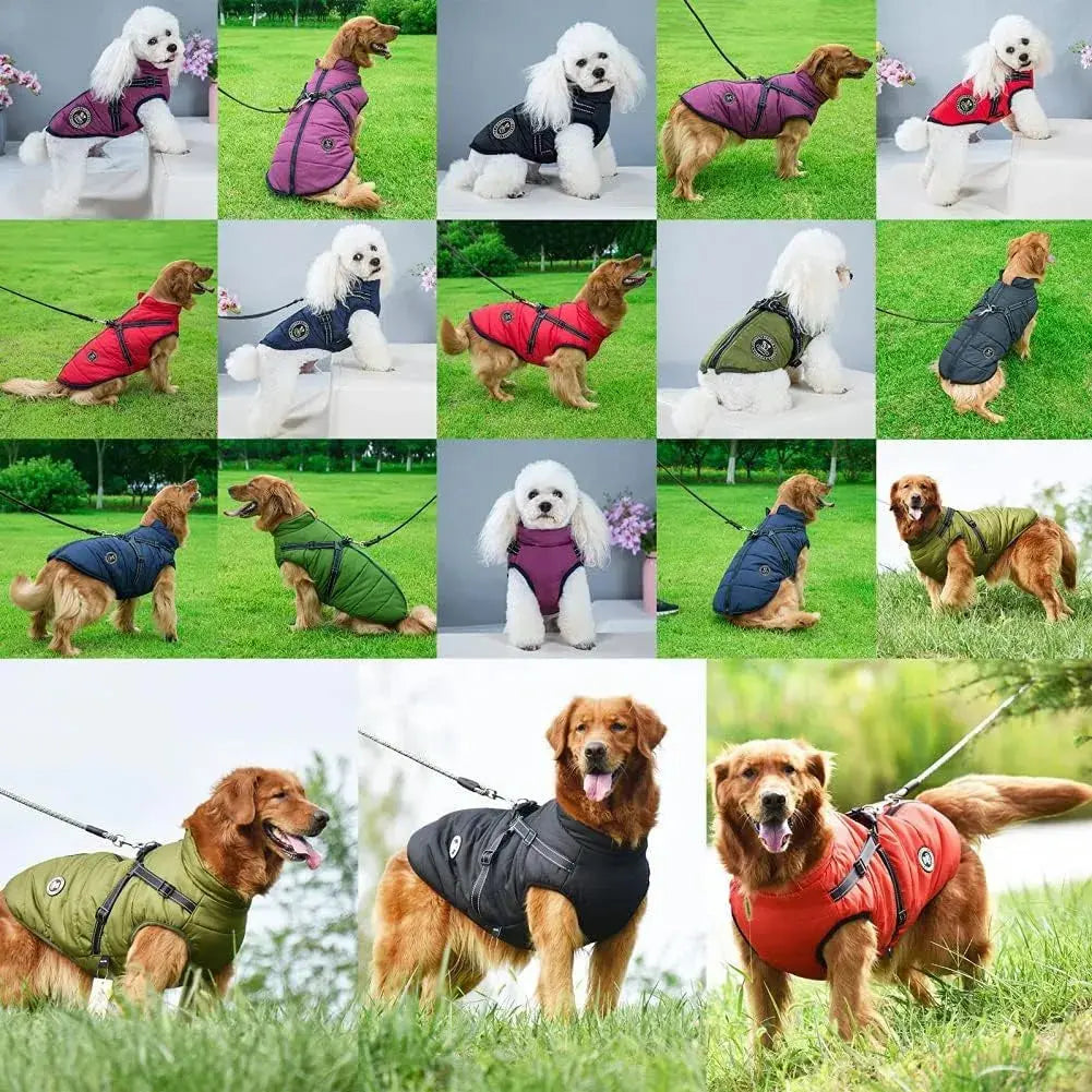 Waterproof Dog Jacket – Keep Your Pup Warm & Dry This Aussie Winter - TARHUS