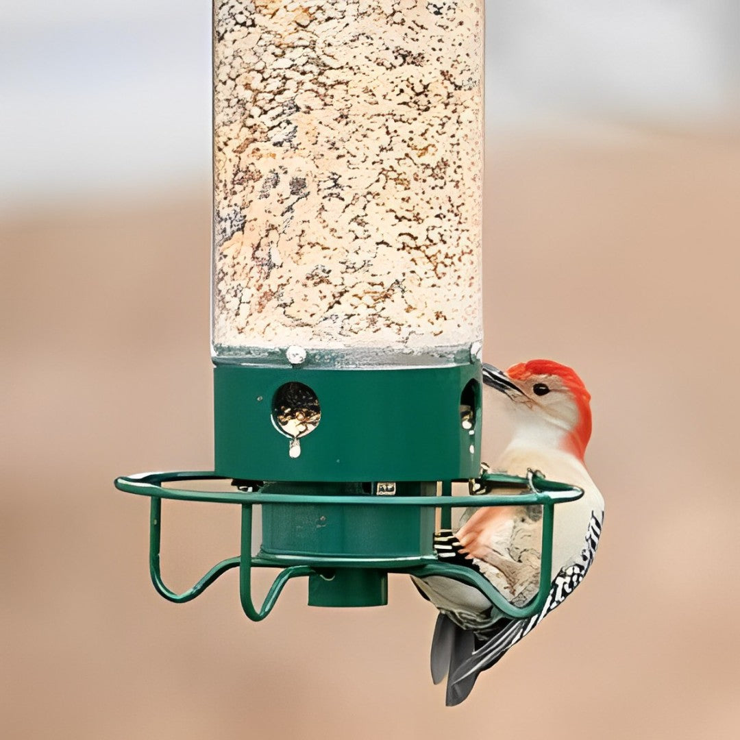 Squirrel-Proof Bird Feeder – Weather-Resistant Hanging Feeder for Wild Birds - TARHUS