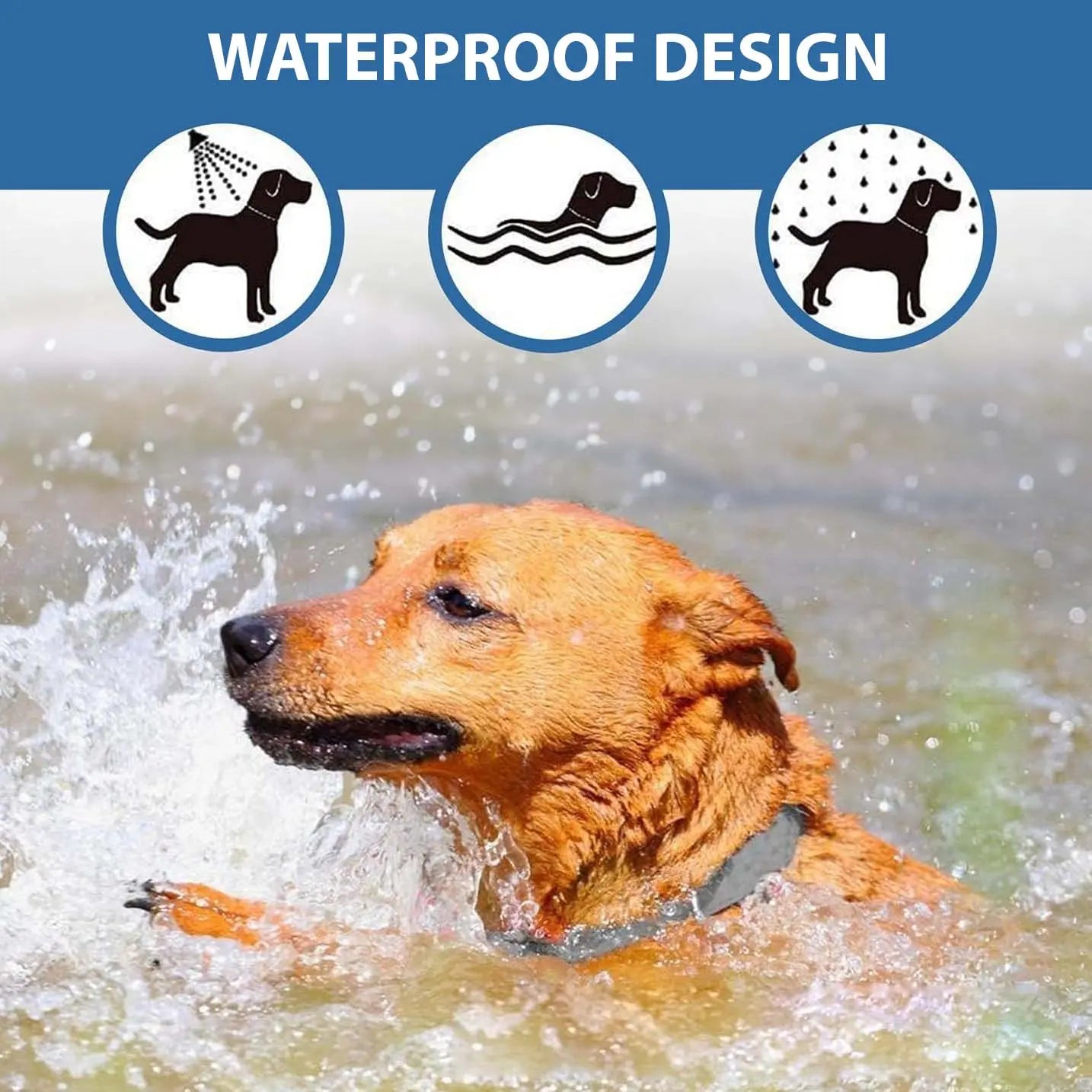 Flea and Tick Control Collar – Cats and Dogs 8 Months Protection - TARHUS