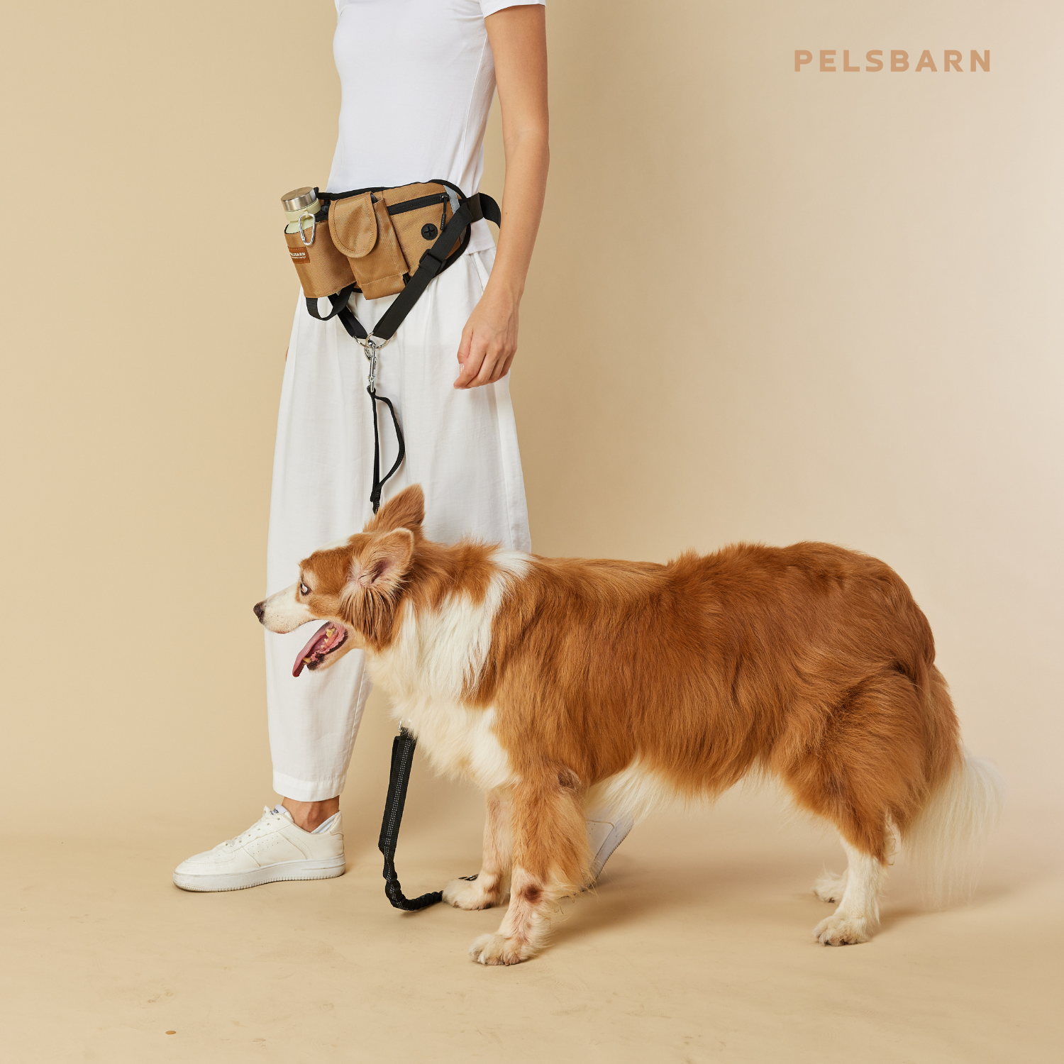 All-in-one Dog Walking Bag – Organised, Hands-Free & Travel-Ready