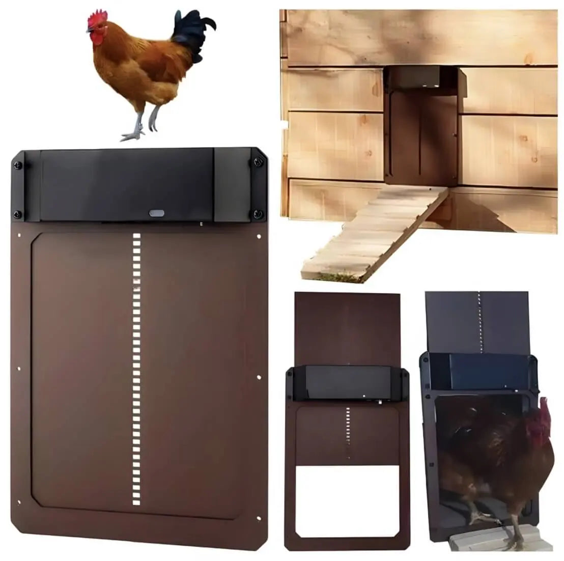 CluckGuard - Chicken Coop Automatic Door Tarhus