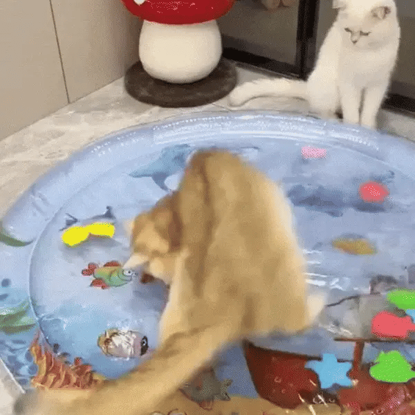 Interactive Water Mat for Cats – Underwater Adventure Playmat - TARHUS