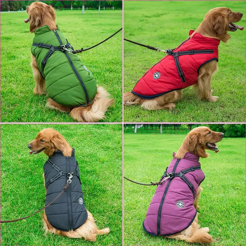 Waterproof Dog Jacket – Keep Your Pup Warm & Dry This Aussie Winter - TARHUS