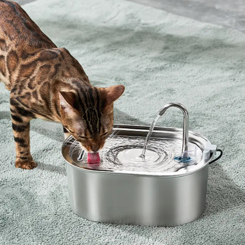 HydroPurr 2.0 - Pet Water Fountain Filtration System - TARHUS