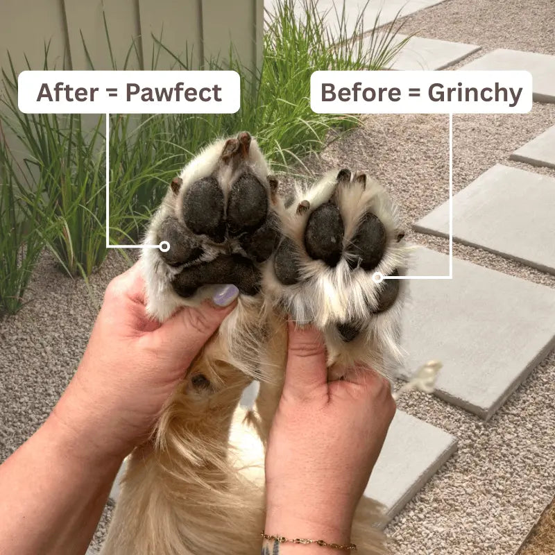 TrimPaw | Cordless Nail Trimmer for Dogs & Cats - TARHUS