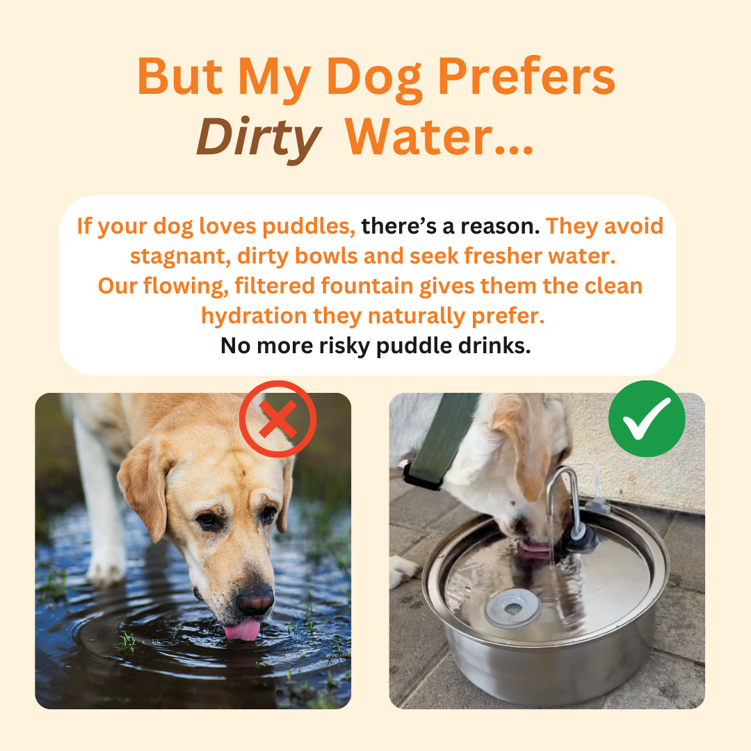 The Doggy Fountain™ – Stainless Steel Pet Water Fountain TARHUS