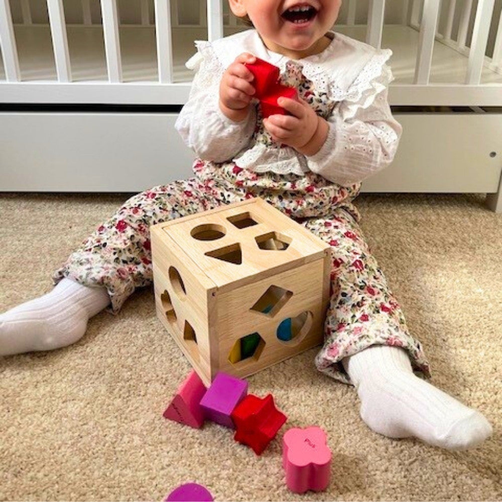 Montessori Shape Sorter Toy – Wooden Learning Puzzle for Toddlers - TARHUS