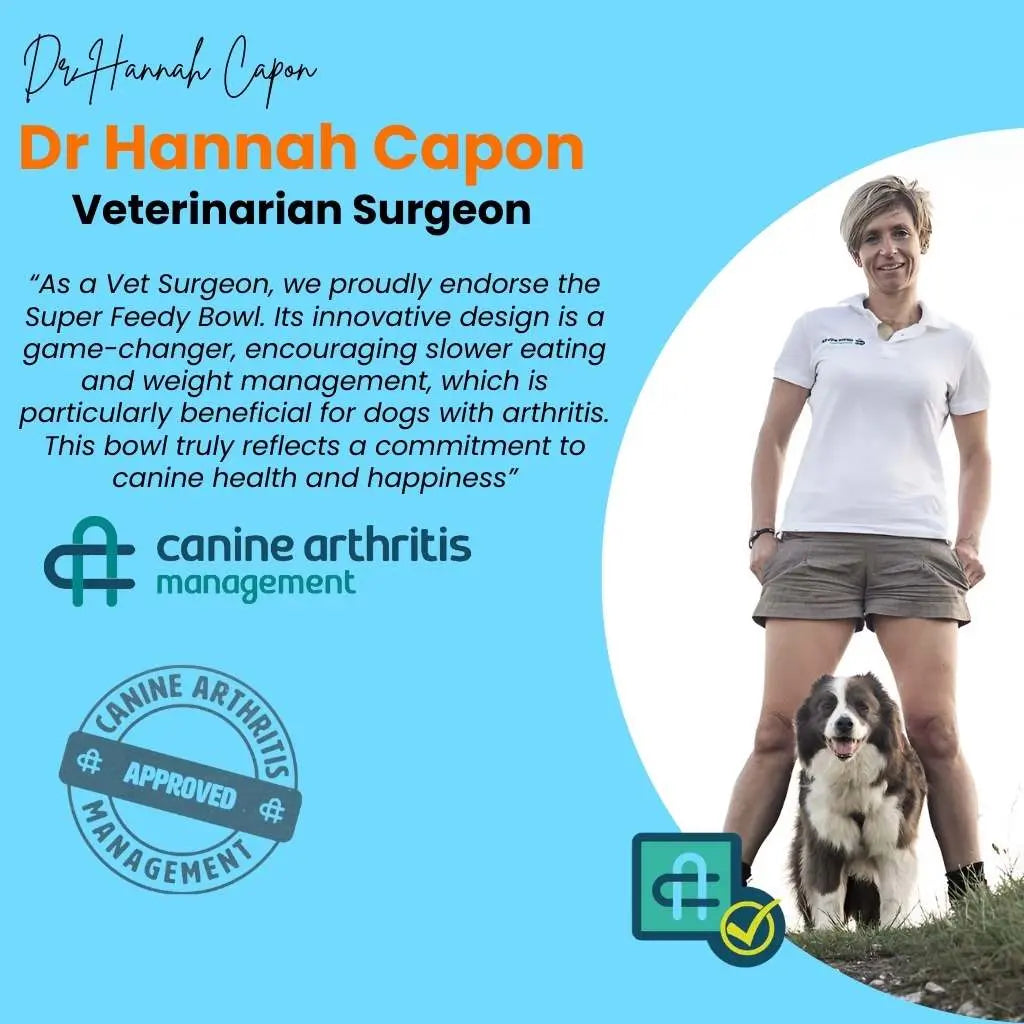 Slow Feeder Dog Bowl with Lick Mat β 4-in-1 Anti-Choke & Interactive Pet Feeder - TARHUS