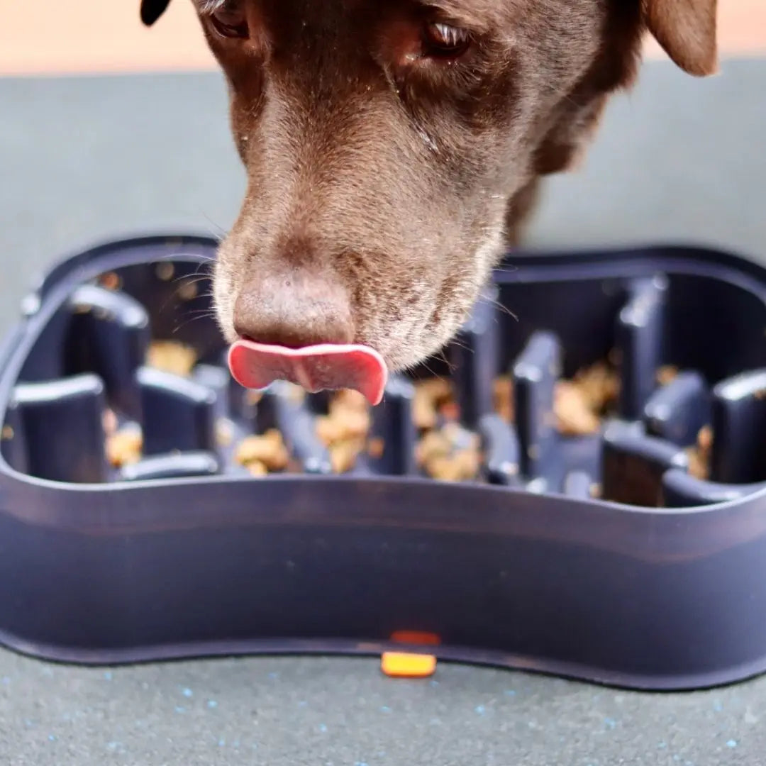 Slow Feeder Dog Bowl with Lick Mat – 4-in-1 Anti-Choke & Interactive Pet Feeder - TARHUS