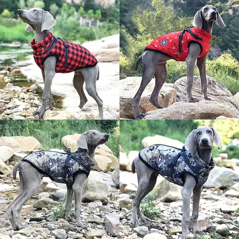 Waterproof Dog Jacket – Keep Your Pup Warm & Dry This Aussie Winter - TARHUS