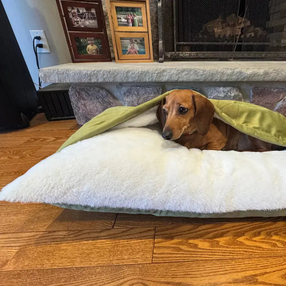 Snootzi - Dog Bed with Built-In Blanket - TARHUS