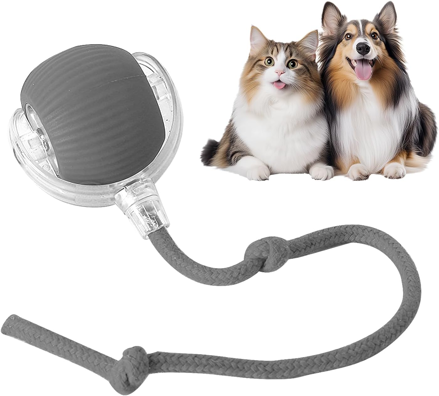 Rollraptor interactive pet toy ball - TARHUS