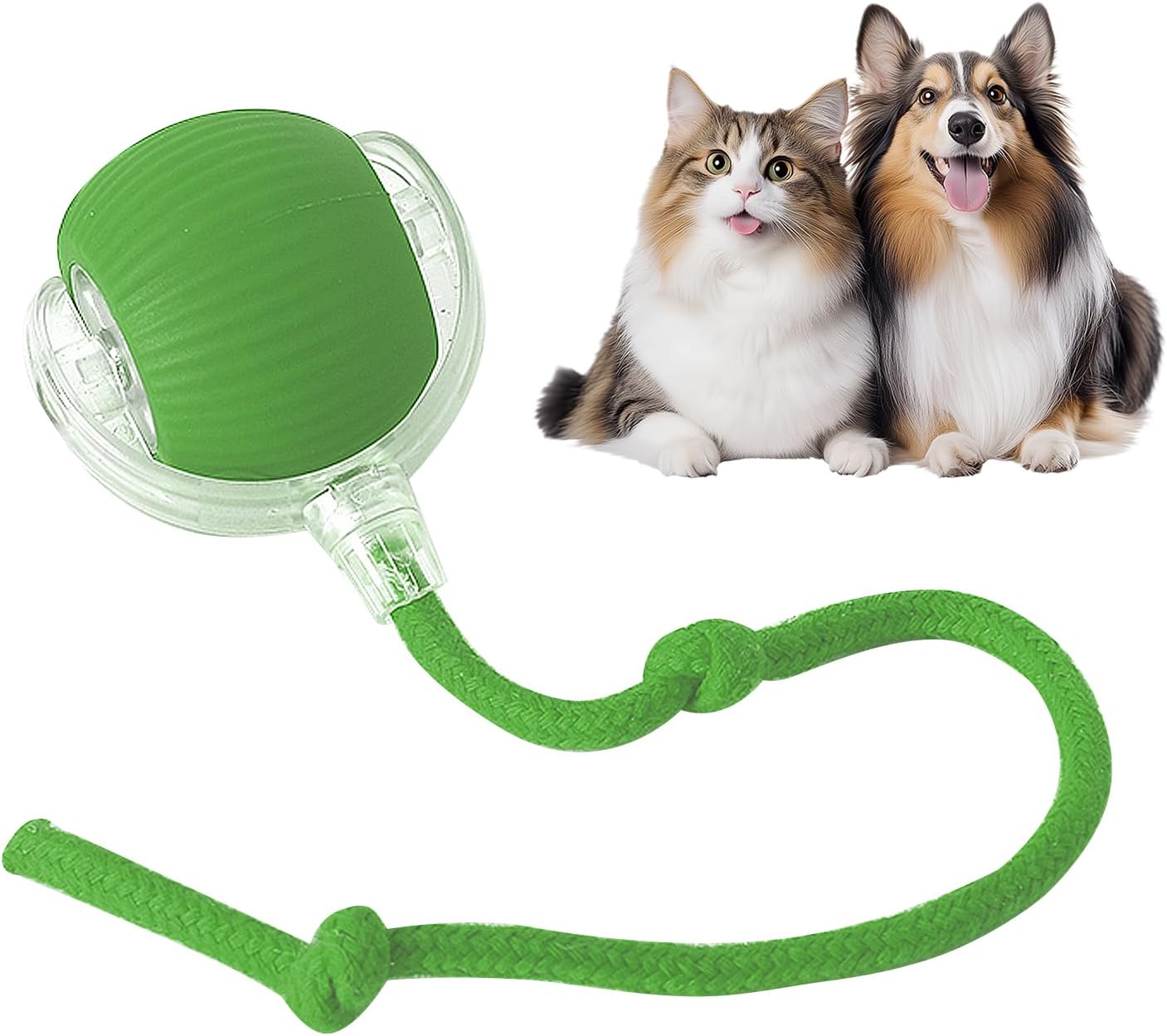 Rollraptor interactive pet toy ball - TARHUS