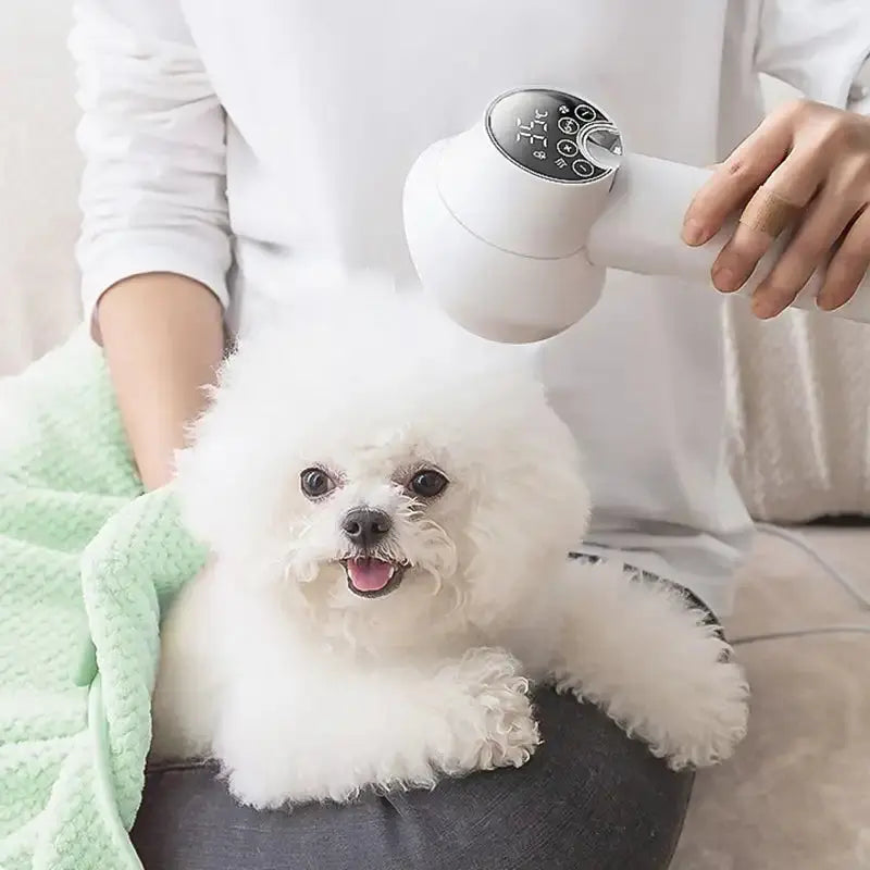 2-in-1 Smart Dog Hair Dryer & Brush – Low Noise Pet Grooming Dryer with Adjustable Heat & Speed Settings - TARHUS