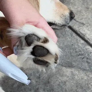 TrimPaw | Cordless Nail Trimmer for Dogs & Cats – Quiet, Safe & Rechargeable TARHUS