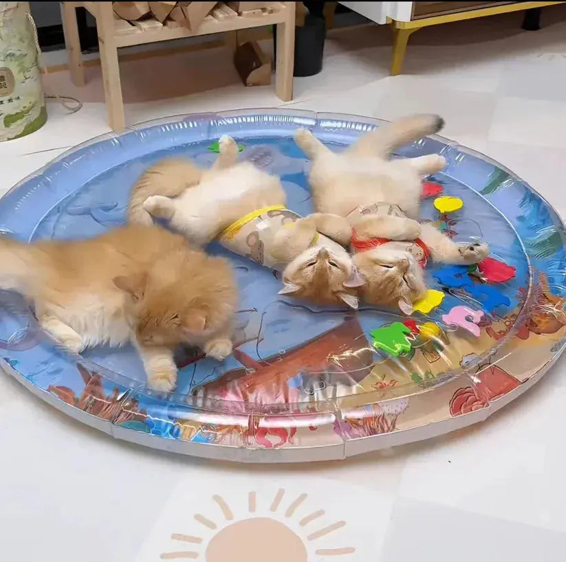 Interactive Water Mat for Cats – Underwater Adventure Playmat - TARHUS