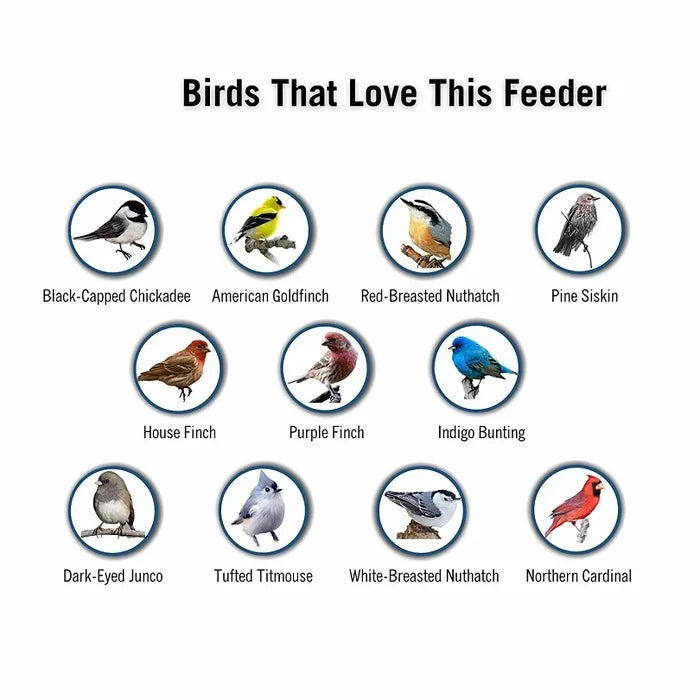 Squirrel-Proof Bird Feeder – Weather-Resistant Hanging Feeder for Wild Birds - TARHUS
