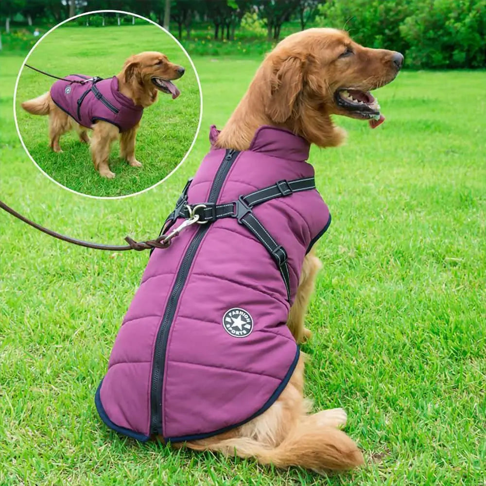 Waterproof Dog Jacket β Keep Your Pup Warm & Dry This Aussie Winter - TARHUS