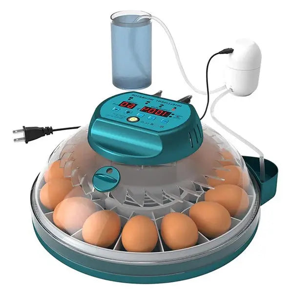 15-Egg Digital Egg Incubator – Automatic Temperature & Humidity Control - TARHUS