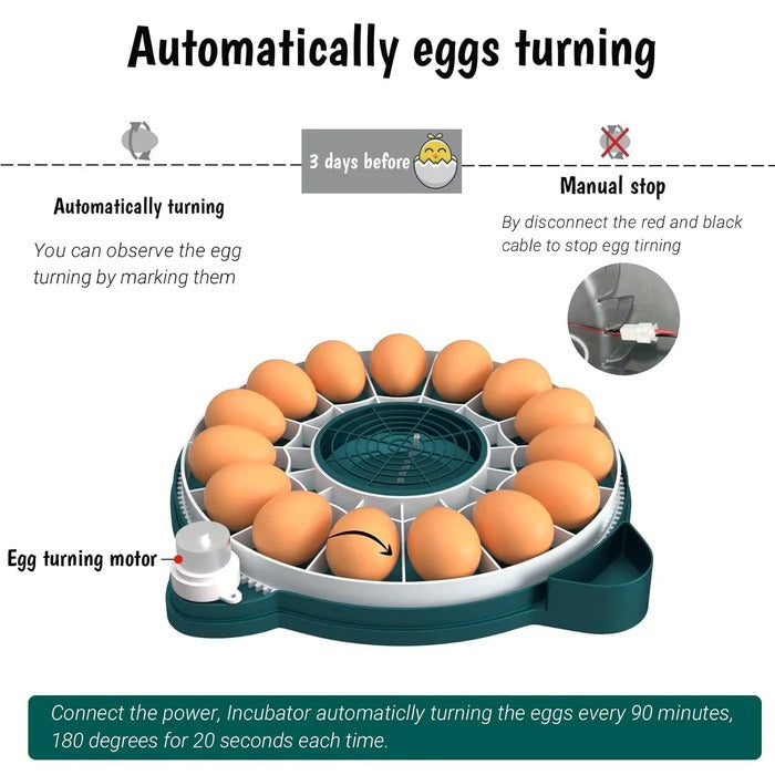 15-Egg Digital Egg Incubator – Automatic Temperature & Humidity Control - TARHUS