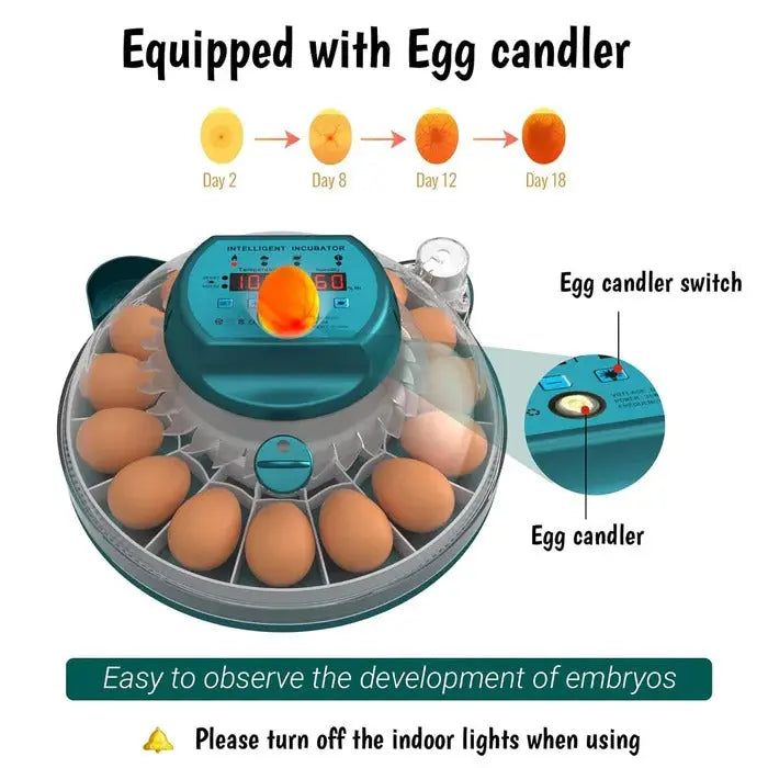 15-Egg Digital Egg Incubator – Automatic Temperature & Humidity Control - TARHUS
