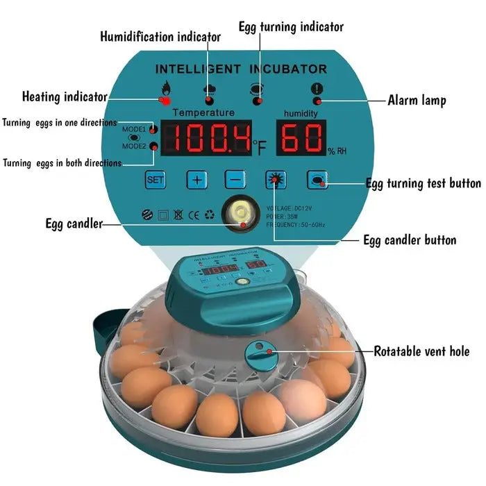 15-Egg Digital Egg Incubator – Automatic Temperature & Humidity Control - TARHUS