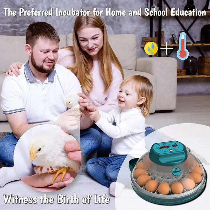 15-Egg Digital Egg Incubator – Automatic Temperature & Humidity Control - TARHUS