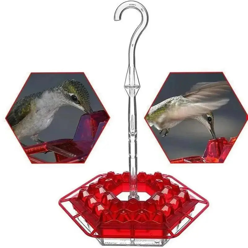 Ant-Proof Hummingbird Feeder – Outdoor Hanging Feeder with Perch | Leak-Free, Easy to Fill & Clean - TARHUS