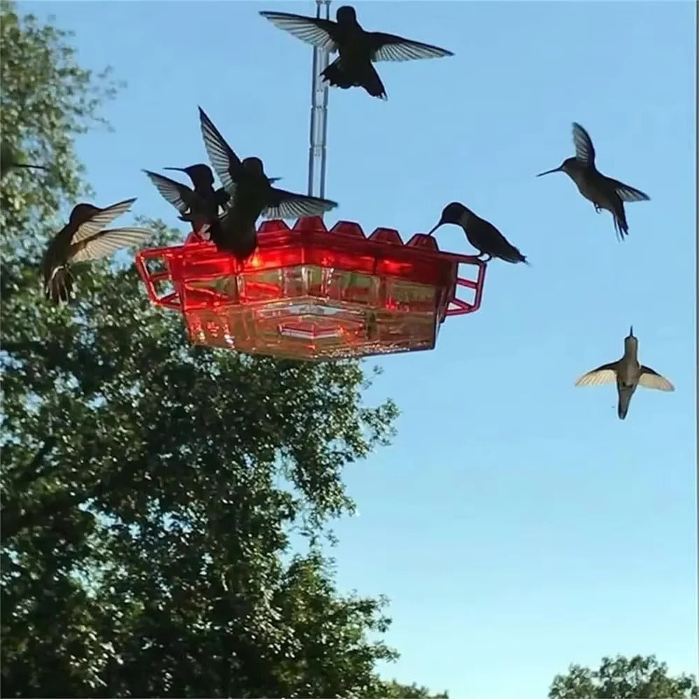 Ant-Proof Hummingbird Feeder – Outdoor Hanging Feeder with Perch | Leak-Free, Easy to Fill & Clean - TARHUS