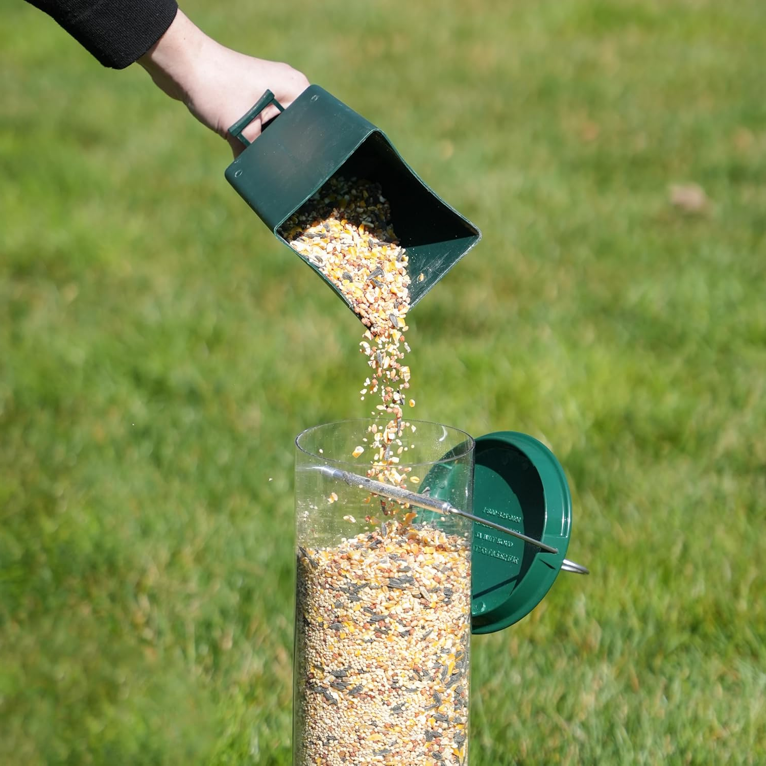 Squirrel-Proof Bird Feeder – Weather-Resistant Hanging Feeder - TARHUS