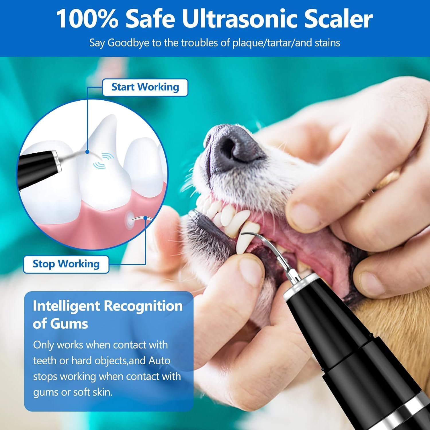Dog & Cat Ultrasonic Tartar Remover Tooth Cleaner TARHUS Animals & Pet Supplies