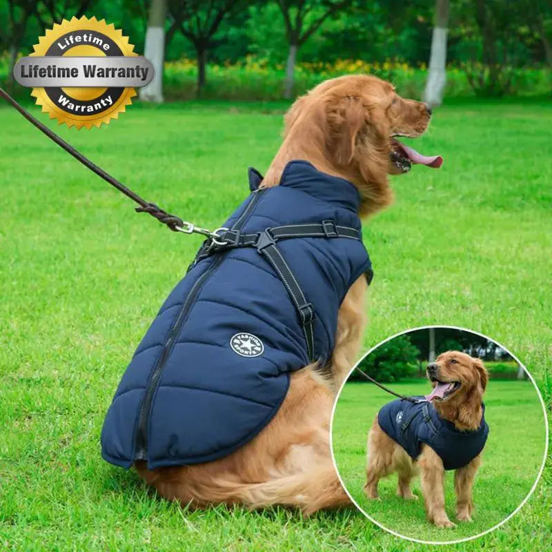 Waterproof Dog Jacket β Keep Your Pup Warm & Dry This Aussie Winter - TARHUS