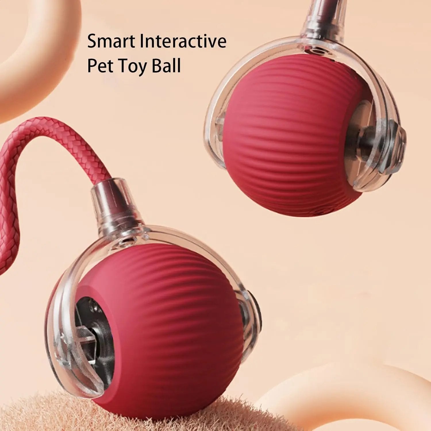 Rollraptor interactive pet toy ball - TARHUS