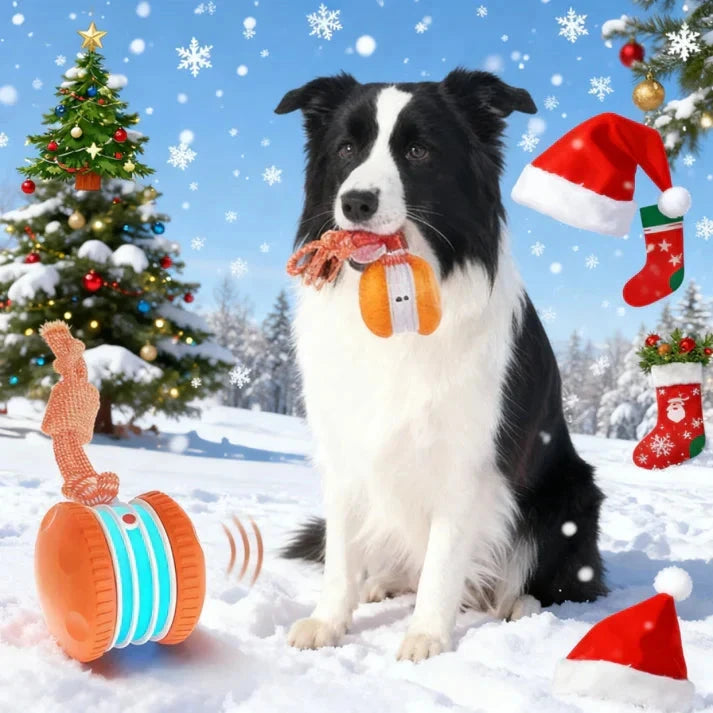 Interactive Dog Toy | Smart Rolling Ball for Active Pets TARHUS