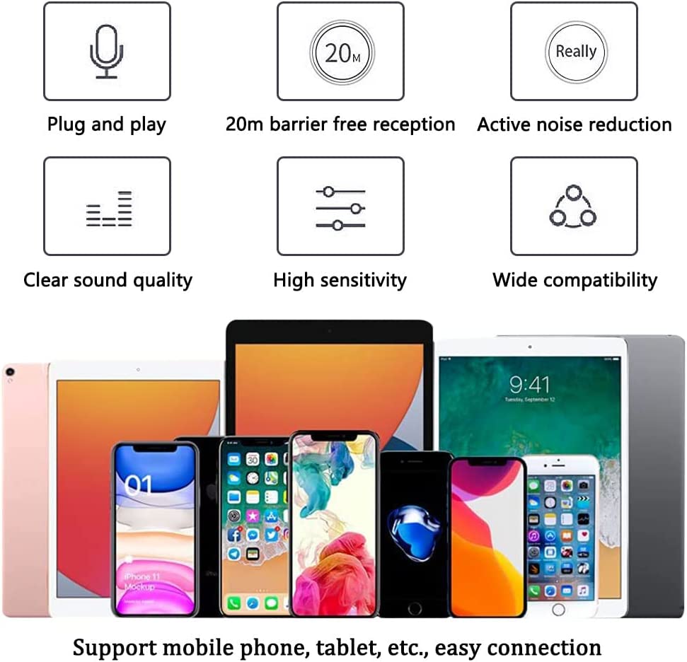 VoicePro - Wireless Microphone