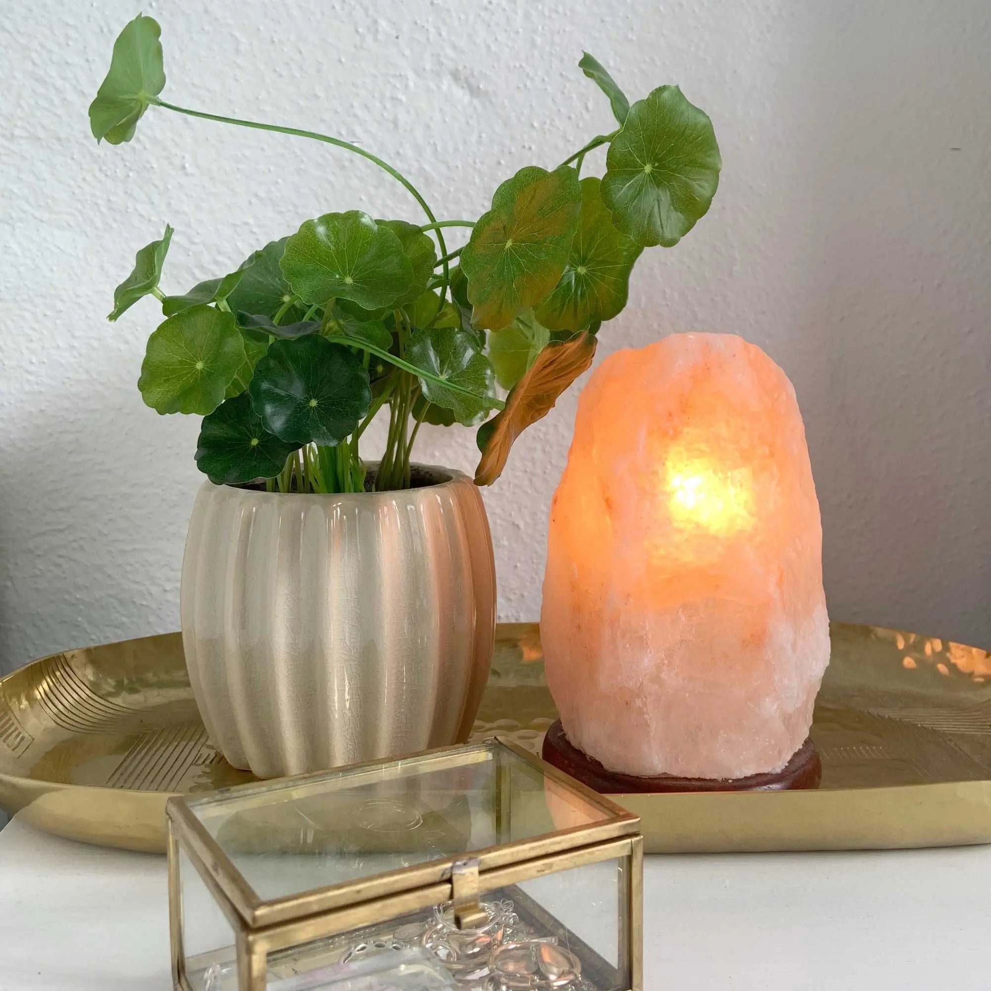 Hiyalamp - Himalayan Salt Lamp – Warm Ambient Light Tarhus