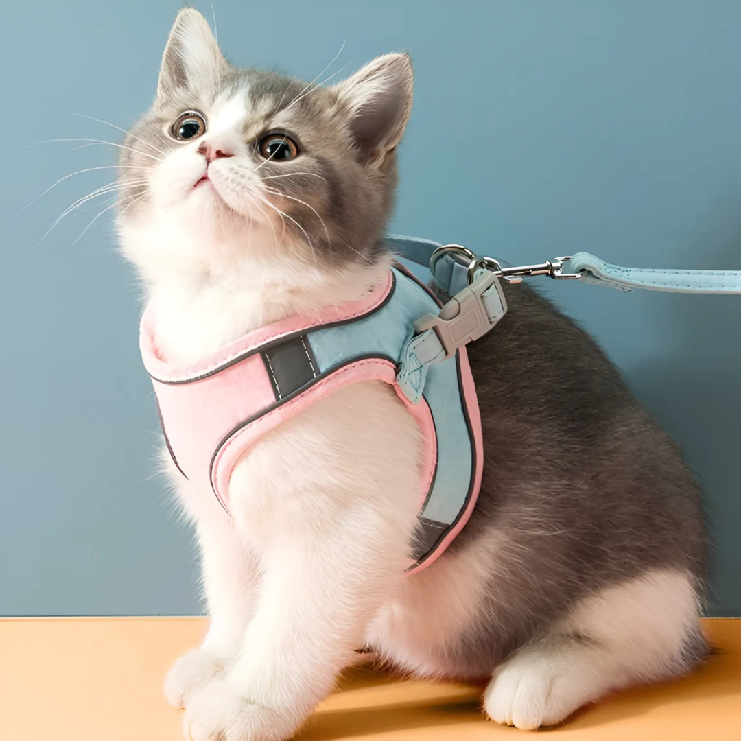 Catventure -  Verstelbaar Veiligheidstuigje Kat TARHUS  Kattentuigje – Verstelbaar en Ontsnappingsproof Kattenharnas met Reflecterende Strepen, Veiligheidstuigje en Inclusief Verstelbare Kattenriem