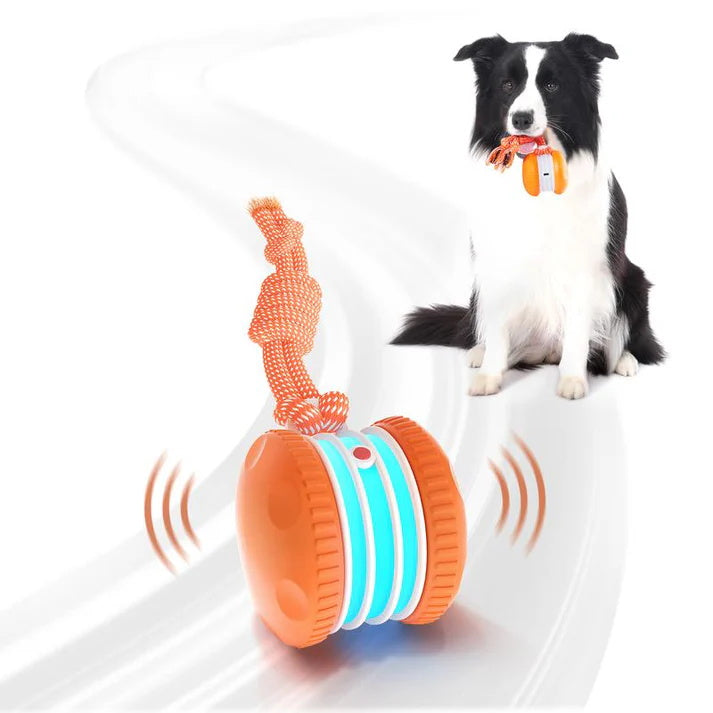Interactive Dog Toy | Smart Rolling Ball for Active Pets TARHUS