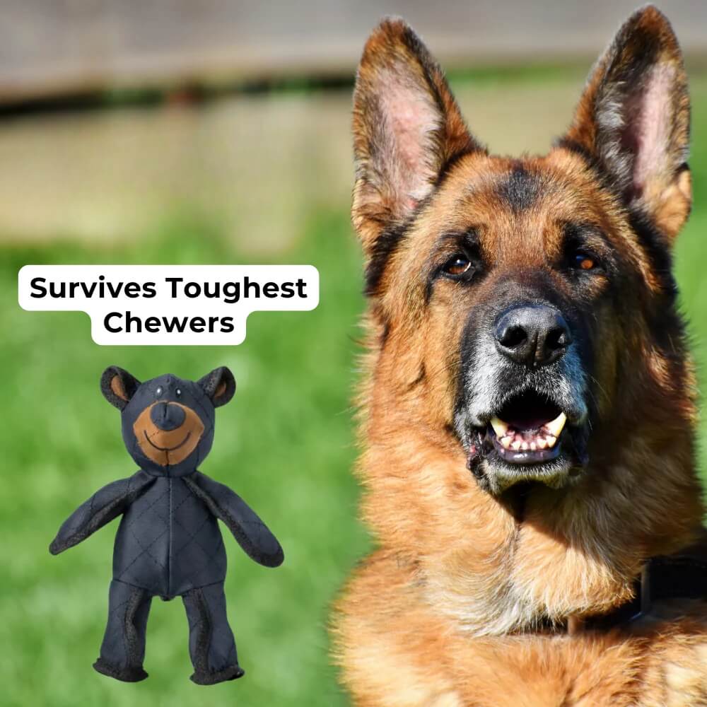 Unbreaka-Bear Dog Toy for Heavy Chewers