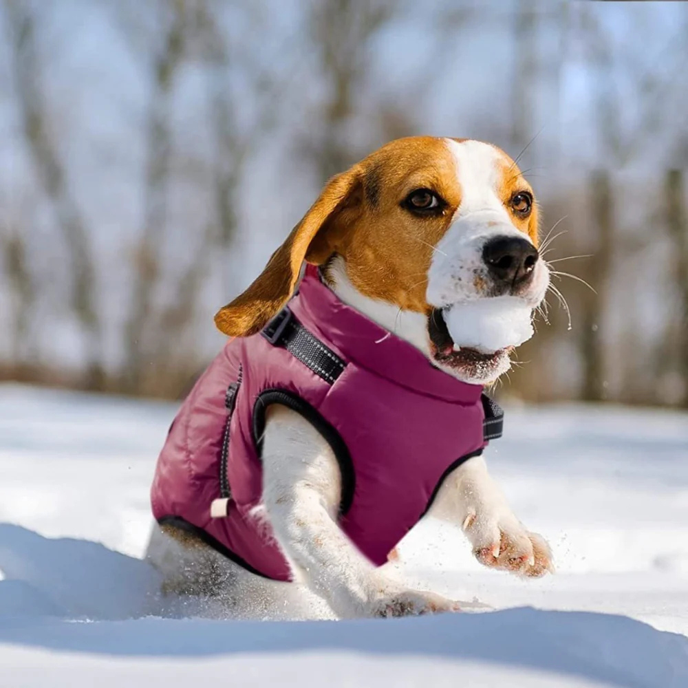 Waterproof Dog Coat